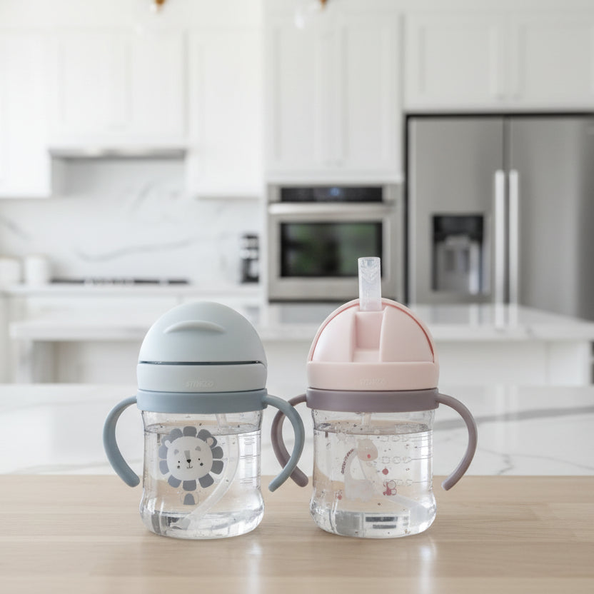 Leak-Proof Cartoon Animal Sippy Cup 300ml